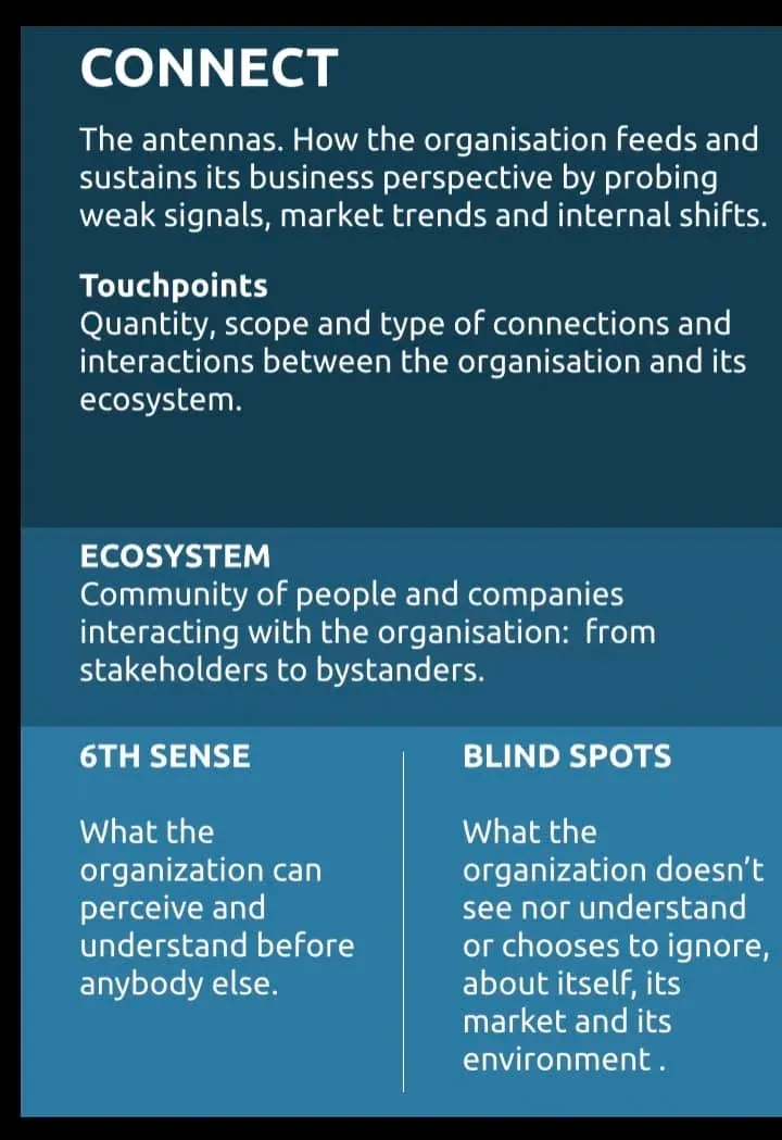 Innovation copilots Culture canvas