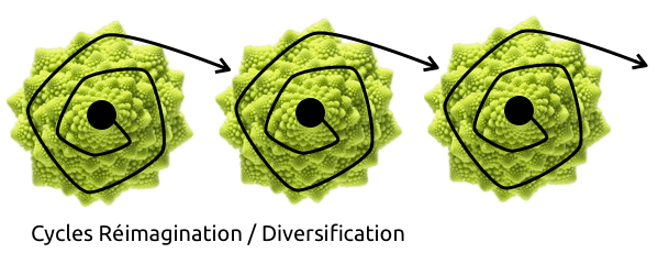 cycles de réimagination et diversification - innovation - merkapt