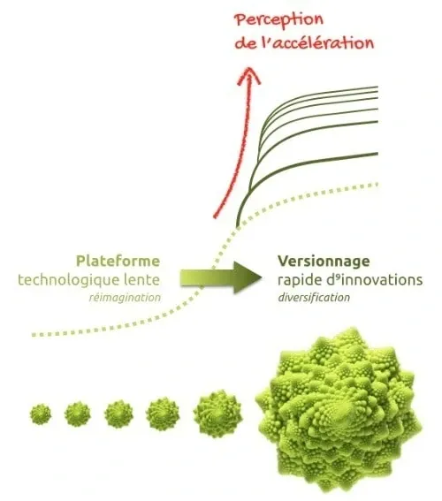 innovation de plateforme et versionnage - merkapt