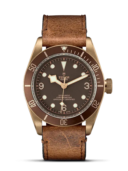 tudor heritage black bay bronze .png